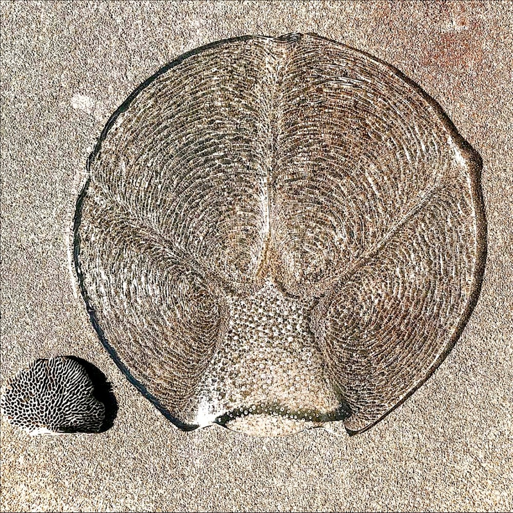 Unique handmade recycled glass shell platter
